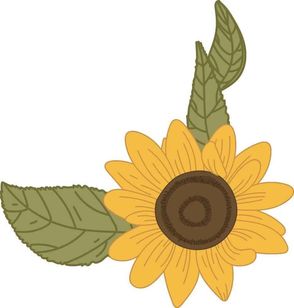 Sunflower with Leaves Floral vector