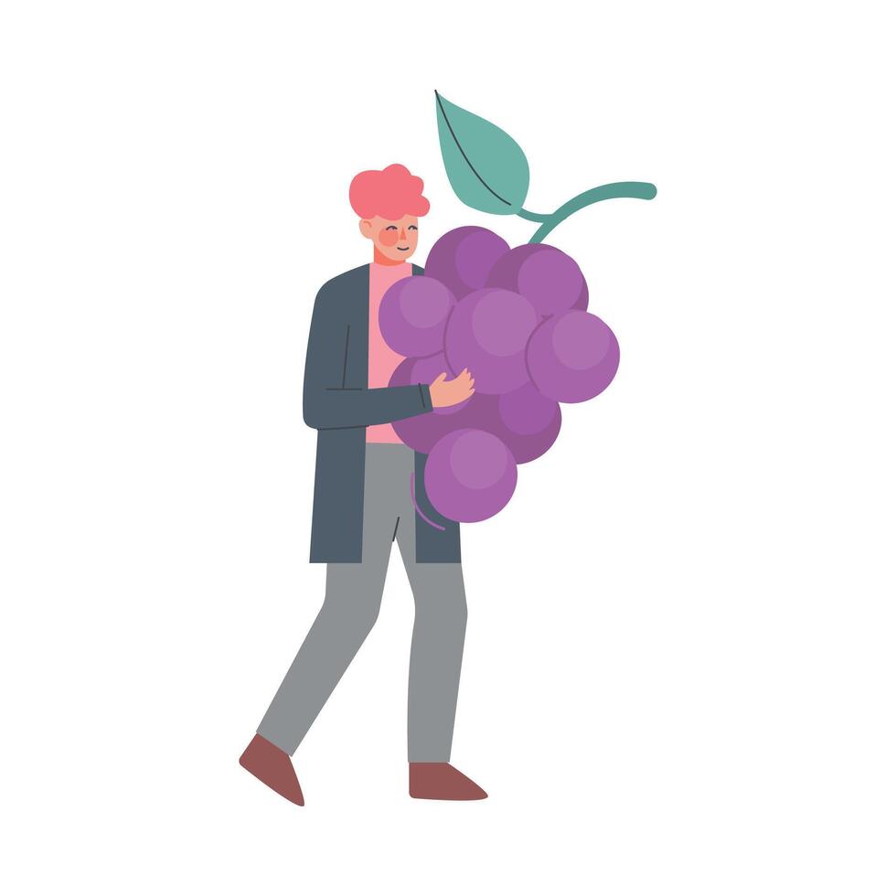 Young Man Carrying Huge Bunch of Grapes Cartoon Style Illustration vector