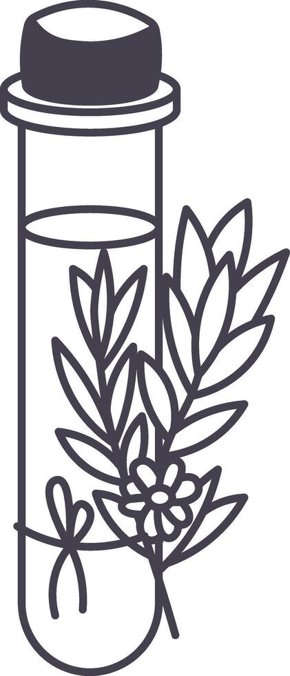 Test tube containing essential oil and decorated with a sprig of medicinal herbs tied with a ribbon, representing aromatherapy, naturopathy and homeopathy vector