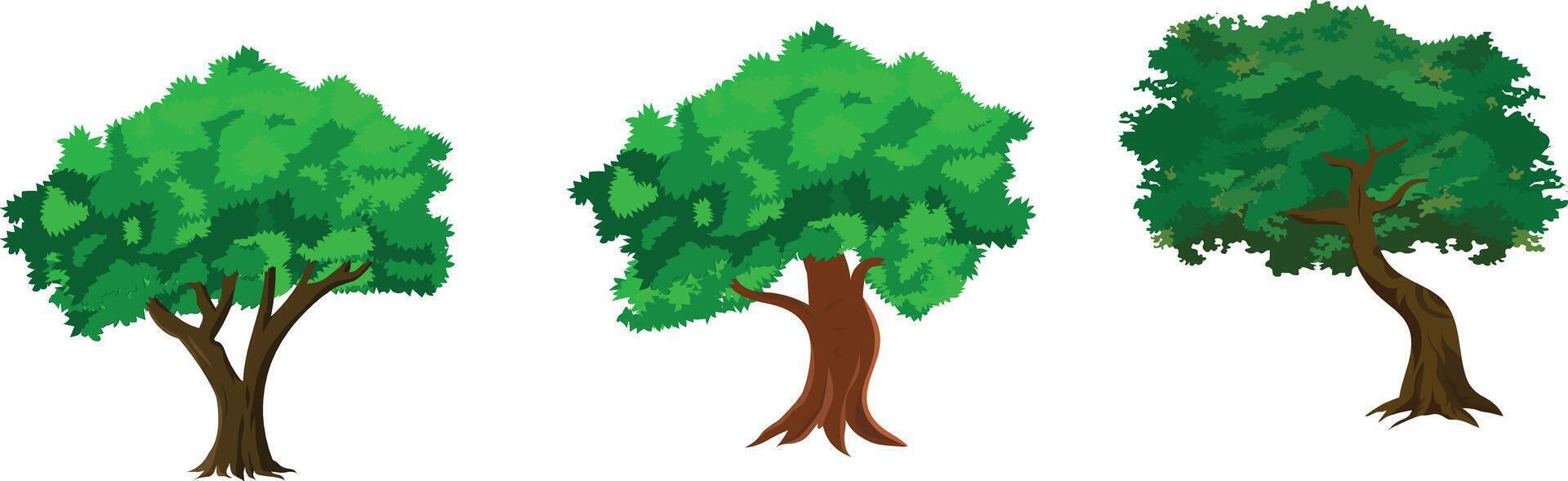 Cartoon Tree Set with 3 Green Leafy Forest Trees for Animation Background, Village Nature Scene, Jungle Game Asset, Storytelling Landscape vector