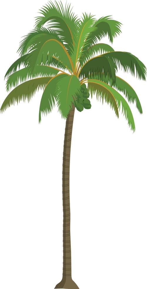 Cartoon Coconut Tree Illustration. Tropical Palm Clip Art for Animation, Island Backgrounds, and Kids Projects vector
