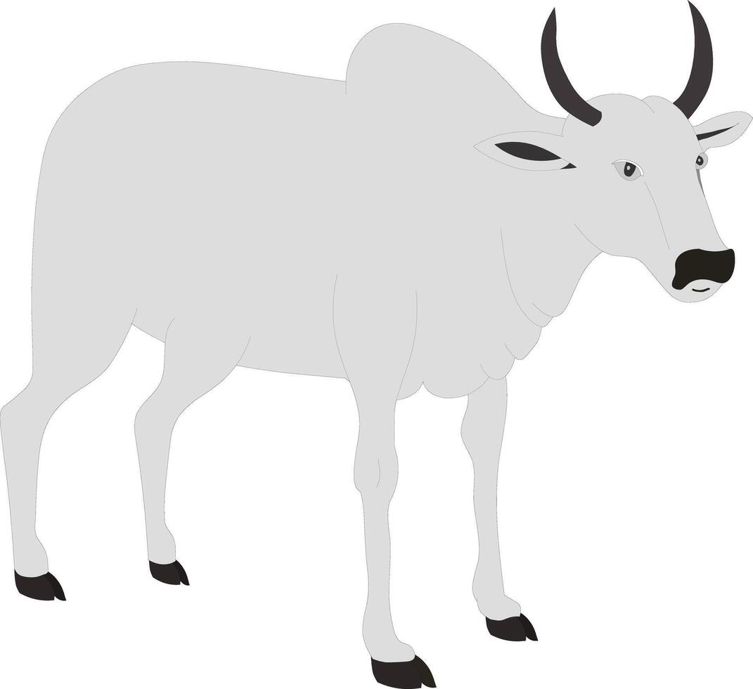 A white cow with horns standing on a white background.Cartoon Cow or Ox Side View - Animal Character Illustration for Animation, Farm Scene, Mascot Design, Children Story Projects vector