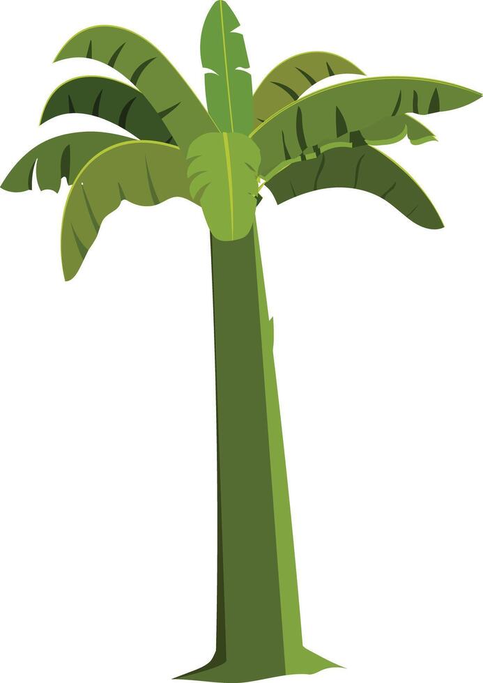 Green Banana Plant Cartoon Illustration. Tree for Farming Scene and Animation Project vector