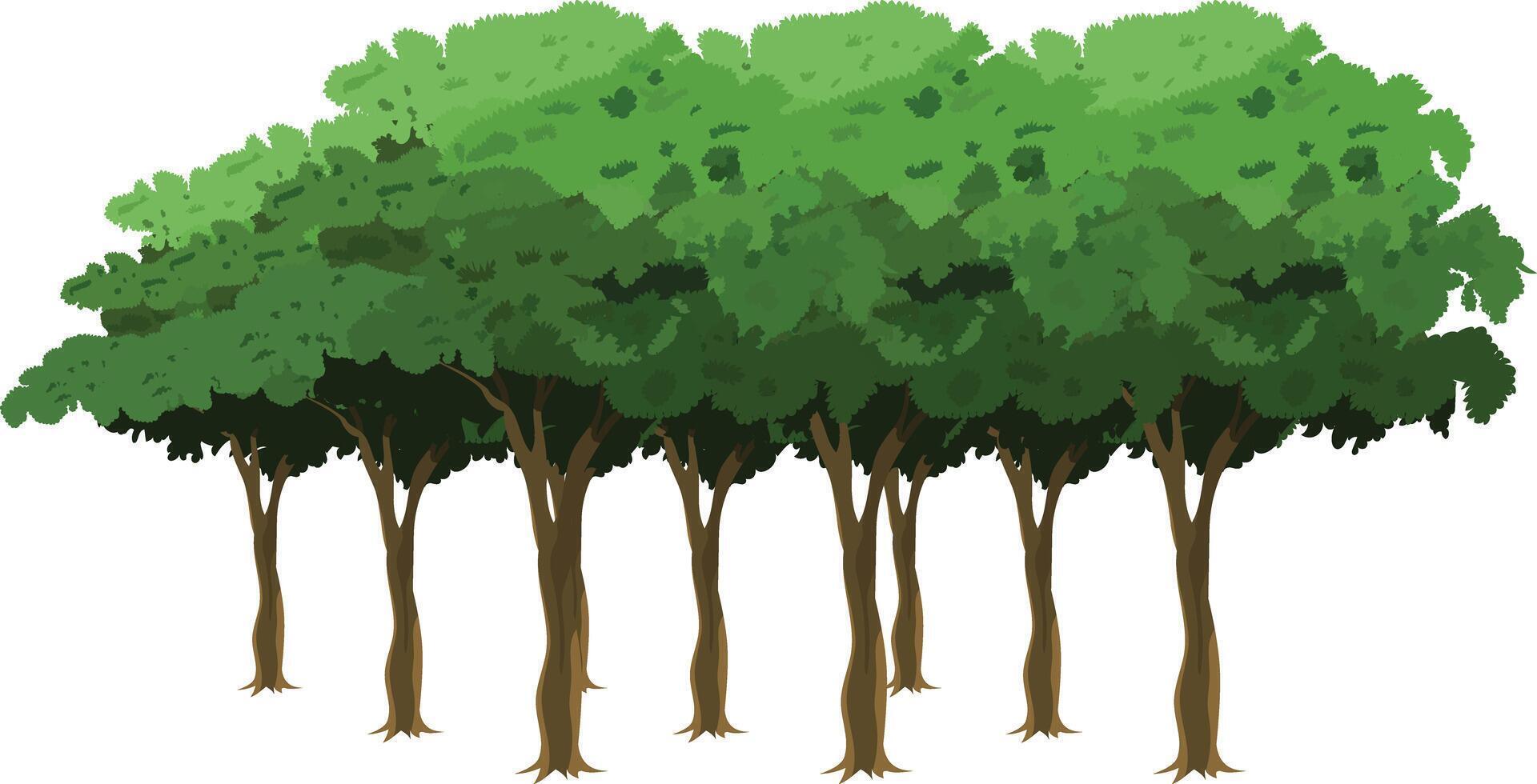 Cartoon Forest Tree Set with Dense Green Tree Line for Animation Background, Game Environment, Explainer , 2D Nature Landscape, Jungle Scene or Educational Forest Illustration vector