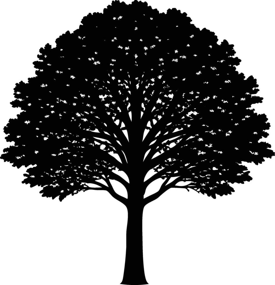 Silhouette of a large deciduous tree with dense foliage and strong branches vector