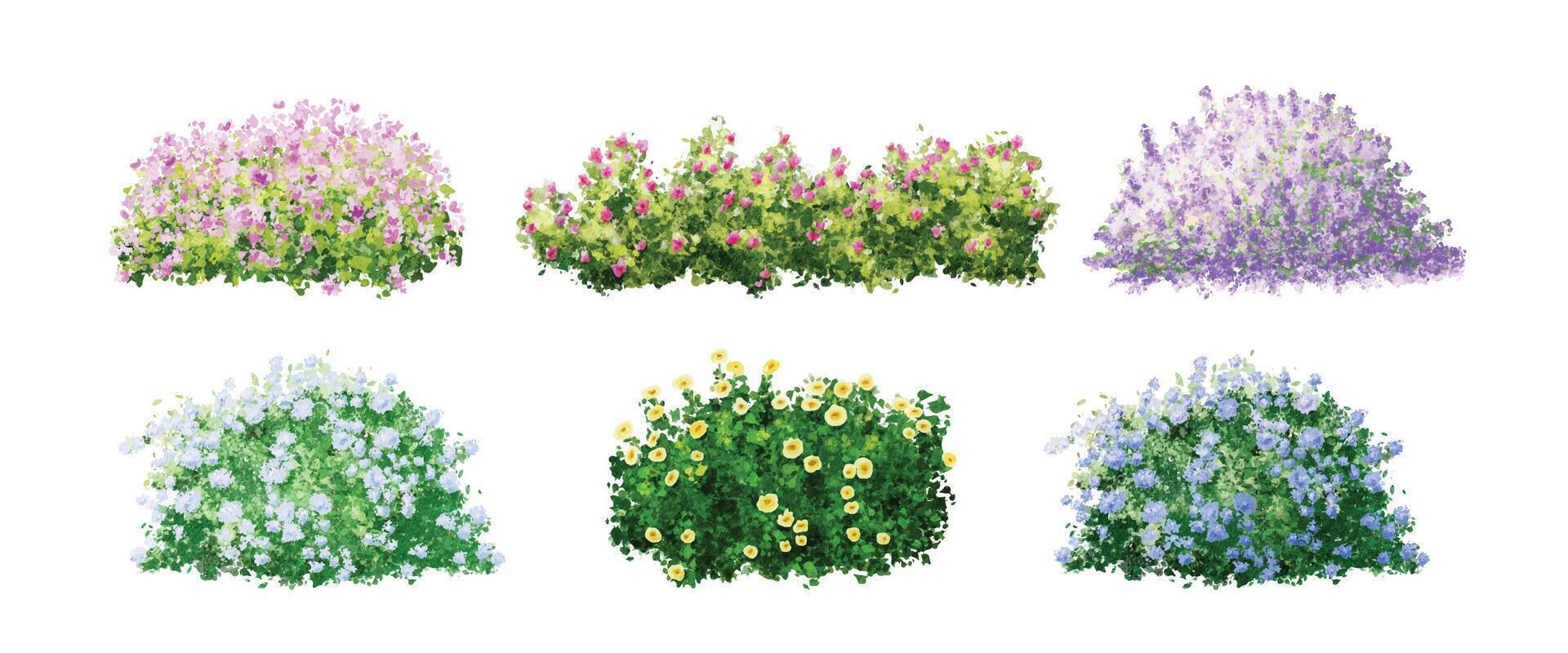 Colorful flower bushes in various shades vector