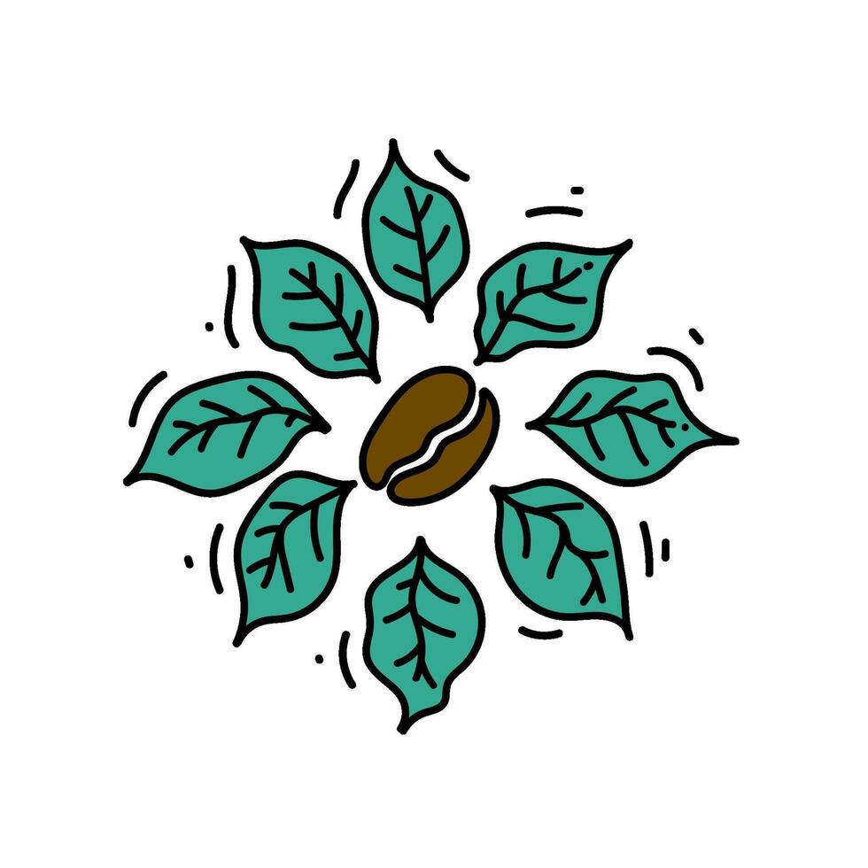 coffee bean and leaves hand drawn illustration vector