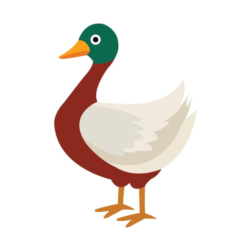 Happy Male Duck Floating Alone on White Background vector