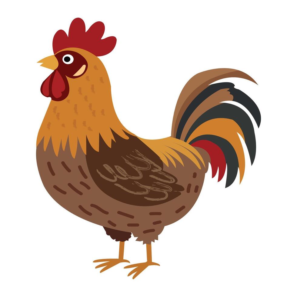 Funny Rooster Standing Proudly on White Background vector