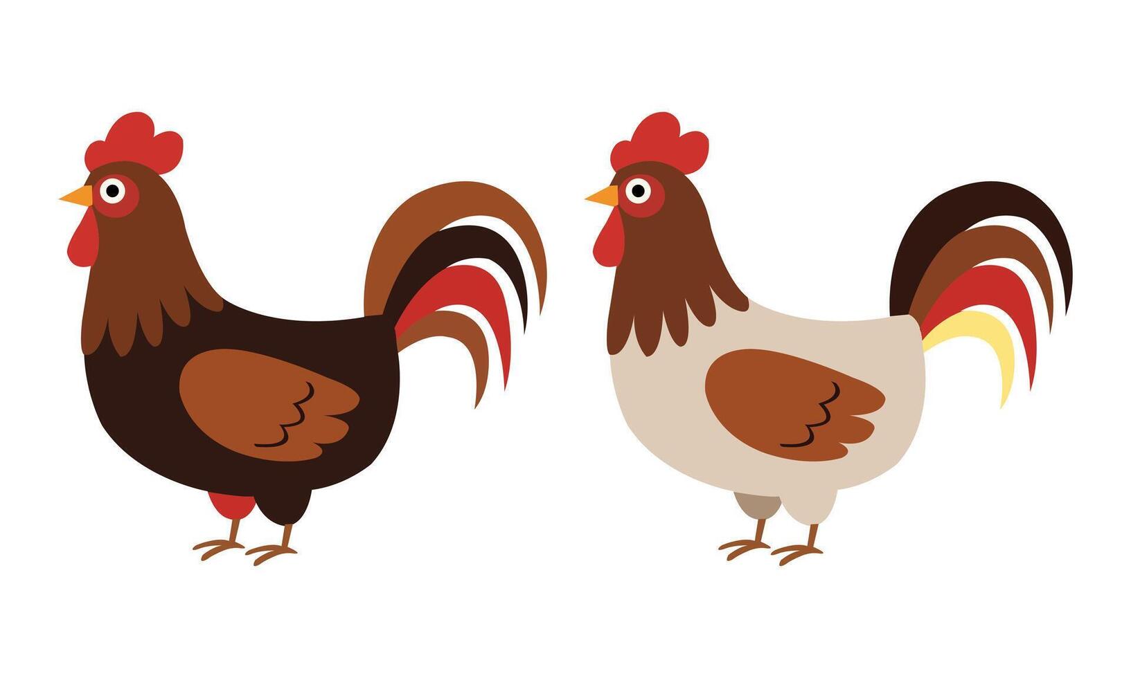 Colorful Rooster with cute Eyes on White Background vector