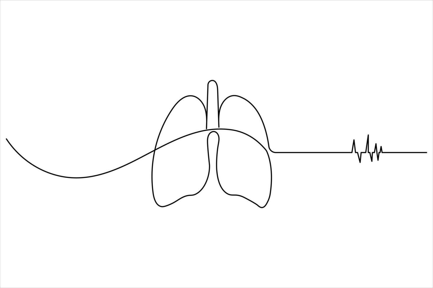 Continuous line drawing of lungs organ vector