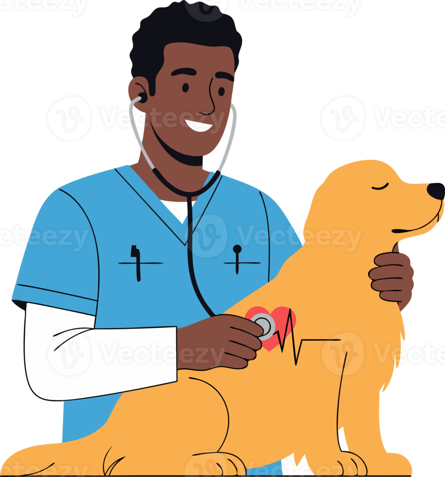 Veterinarian in Scrubs Examining Happy Golden Retriever with Stethoscope in Clinic Setting png