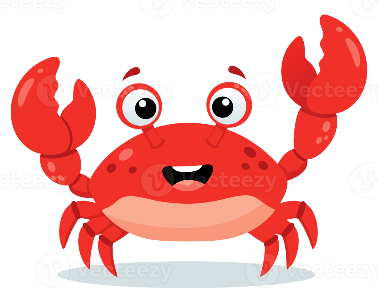 Cheerful and Playful Red Crab Cartoon Character with Bright Eyes and Happy Expression in a Marine Setting png