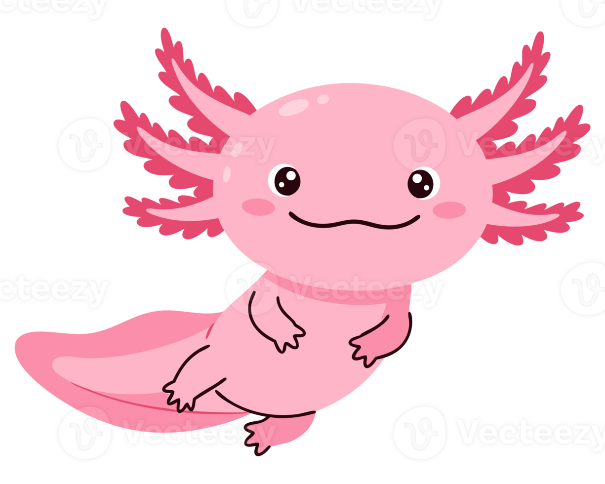 Happy Pink Axolotl Swimming Underwater in a Friendly and Playful Environment, Perfect for Animal Lovers and Amphibian Enthusiasts png