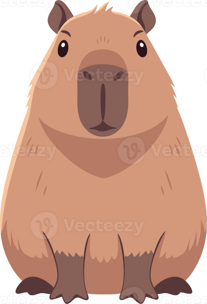 Cartoon Capybara Looking Forward with a Friendly Expression in a Colorful Wildlife Concept png