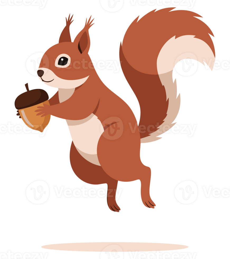 Cute Squirrel Holding a Single Acorn, Cartoon Character, Forest Animal Design, Playful and Cheerful Appearance, Isolated on White Background png
