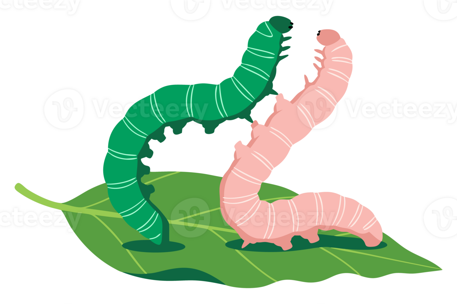 Two Colorful Caterpillars Crawling on a Bright Green Leaf, Showcasing Nature's Vibrant Insects in Their Natural Habitat png