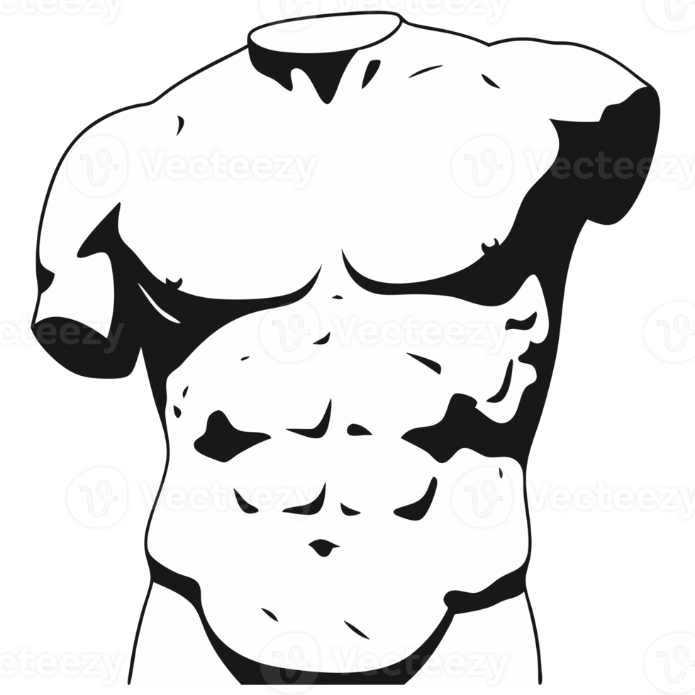 Classical Greek Torso Sculpture Representing Ancient Art and Anatomy in Timeless Design and Aesthetic Expression for Art Enthusiasts png