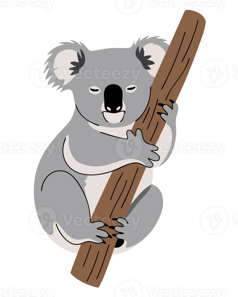 Adorable Koala Clinging to a Branch in a Beautiful Natural Setting Surrounded by Eucalyptus Leaves Depicts Wildlife in Its Natural Habitat png