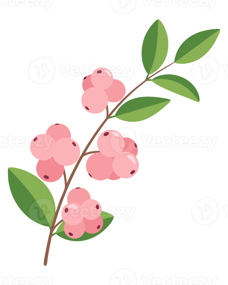 Delicate Botanical Illustration of Pink Snowberries on a Branch with Green Leaves for Natural and Floral Themes png