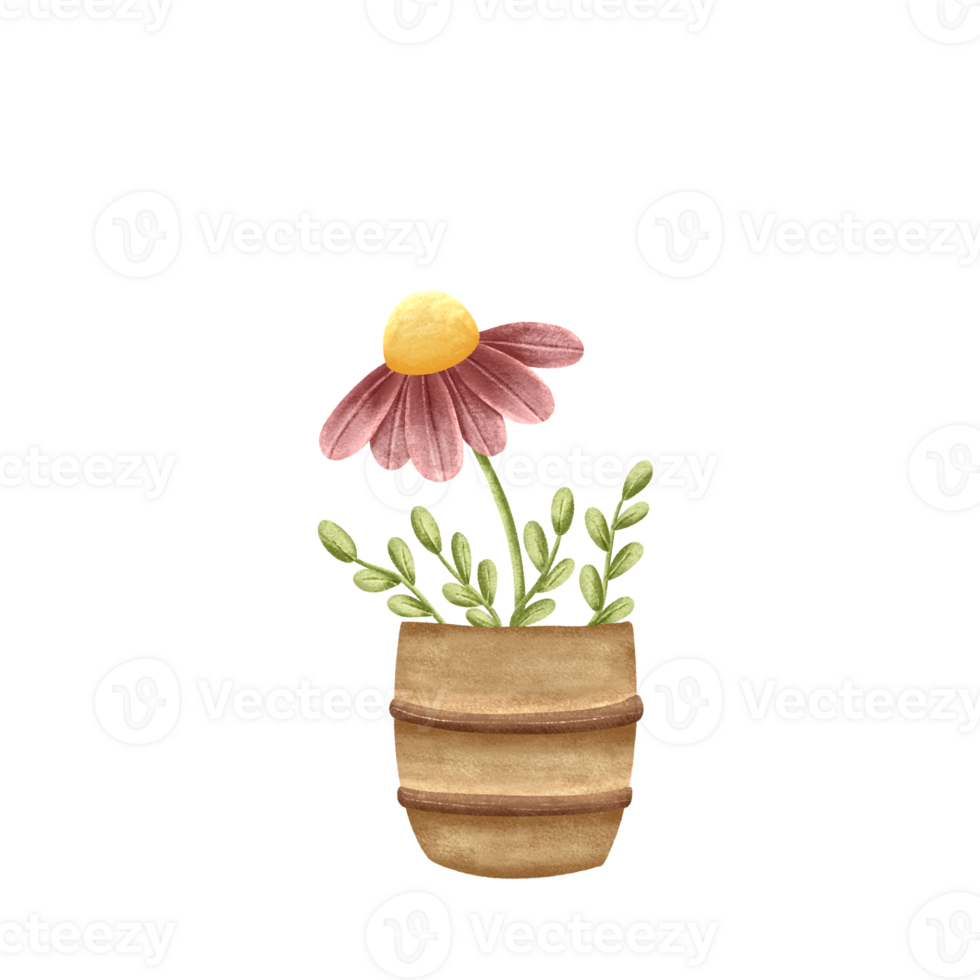 Rustic Pot with Hand Drawn Watercolor Daisy and Leaves png
