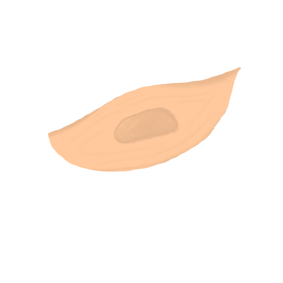 Illustration of Chocolate Filled Cookie Hand Drawn Style png