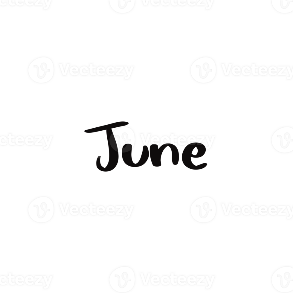 Bold 'June' Lettering Black Typography in Modern Separated Style png