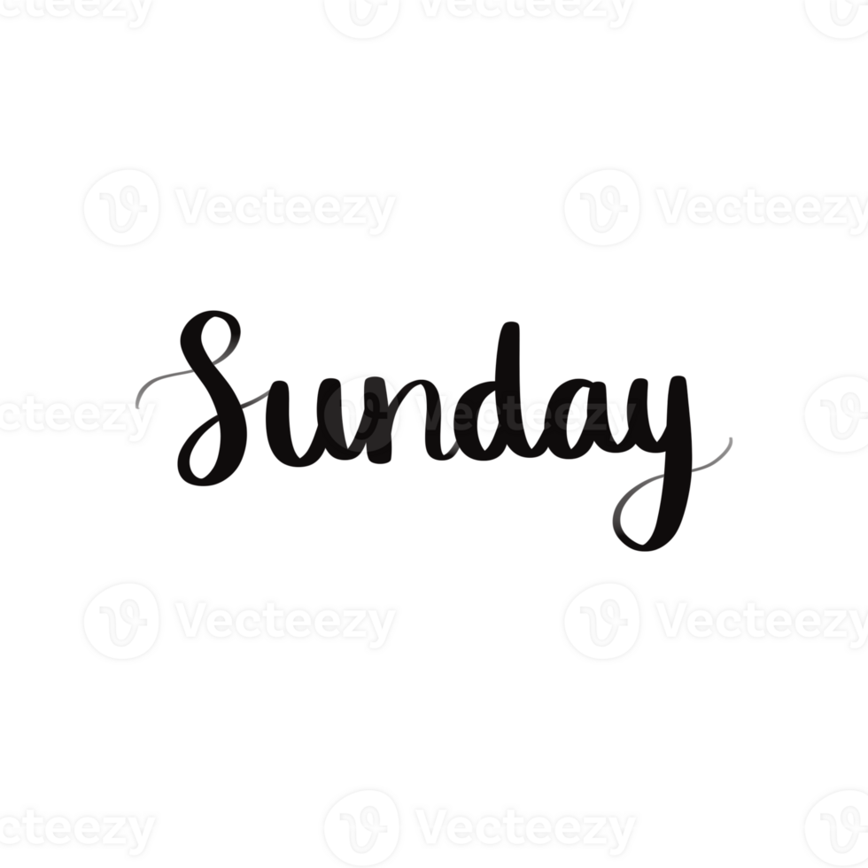 Handwritten Sunday Lettering Calligraphy Word Illustration for Calendar or Weekend Design png