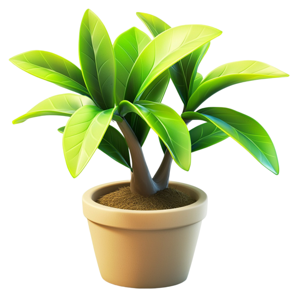 Small green plant in a pot on white background display png