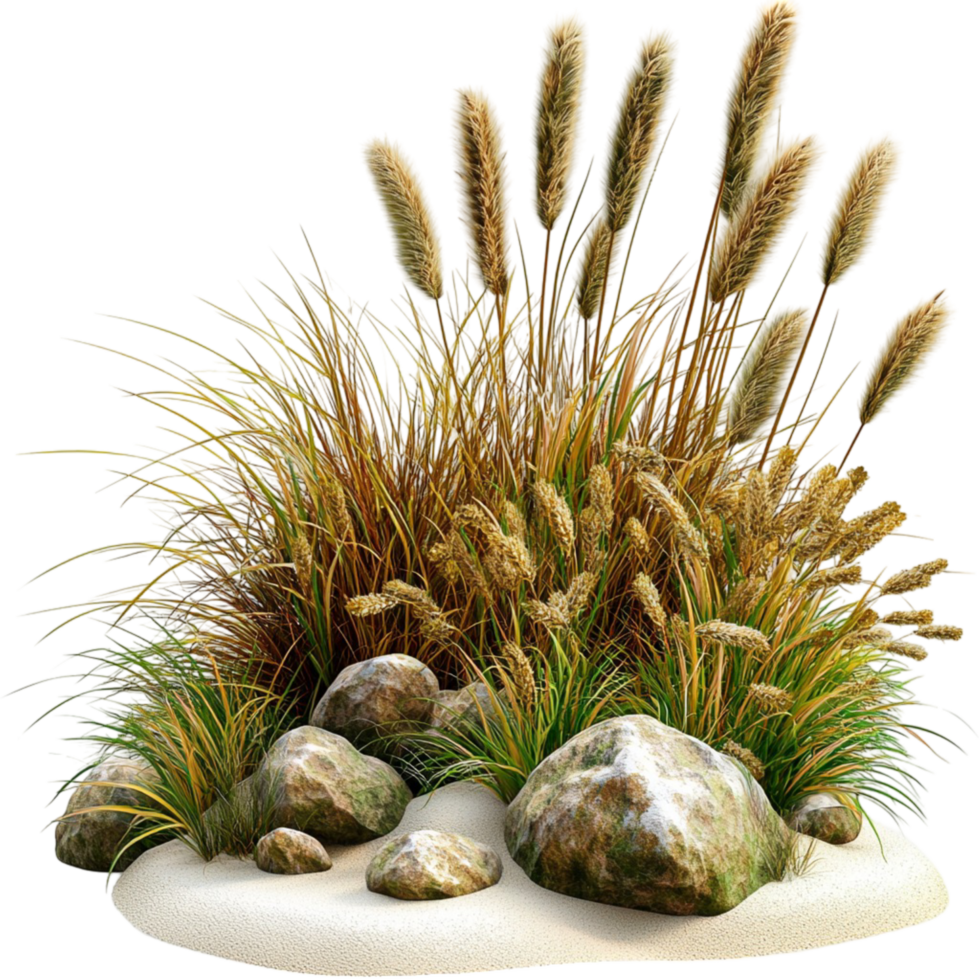 Decorative dry grass bunch with smooth rocks and pebbles png