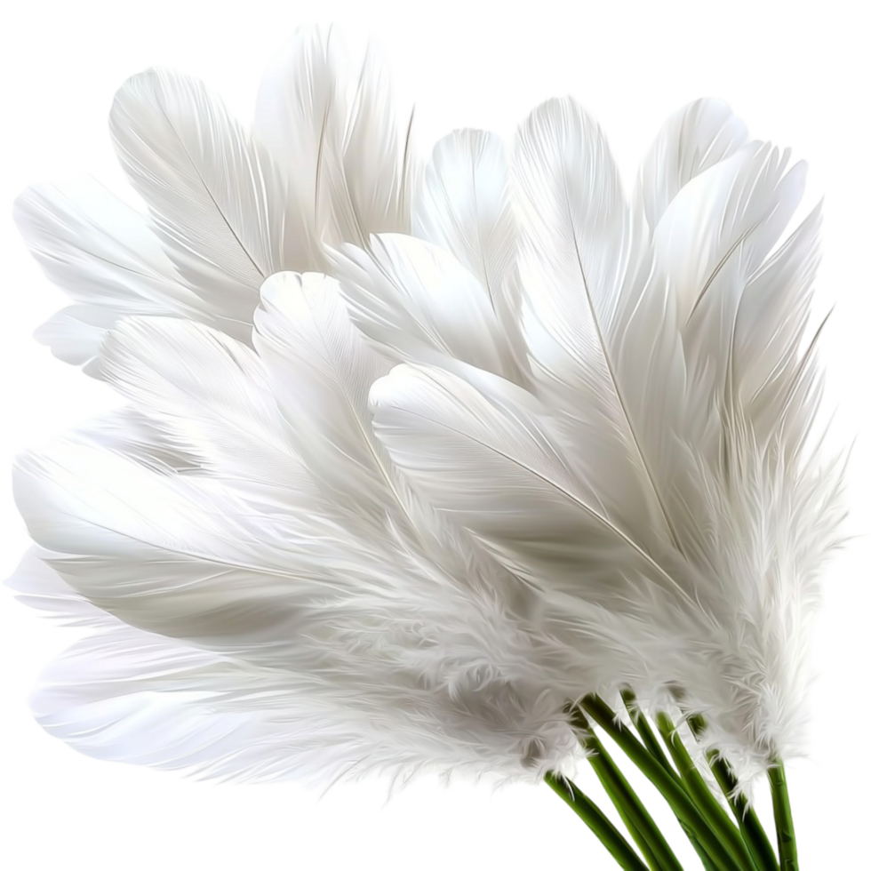 Pile of soft white feathers natural texture png