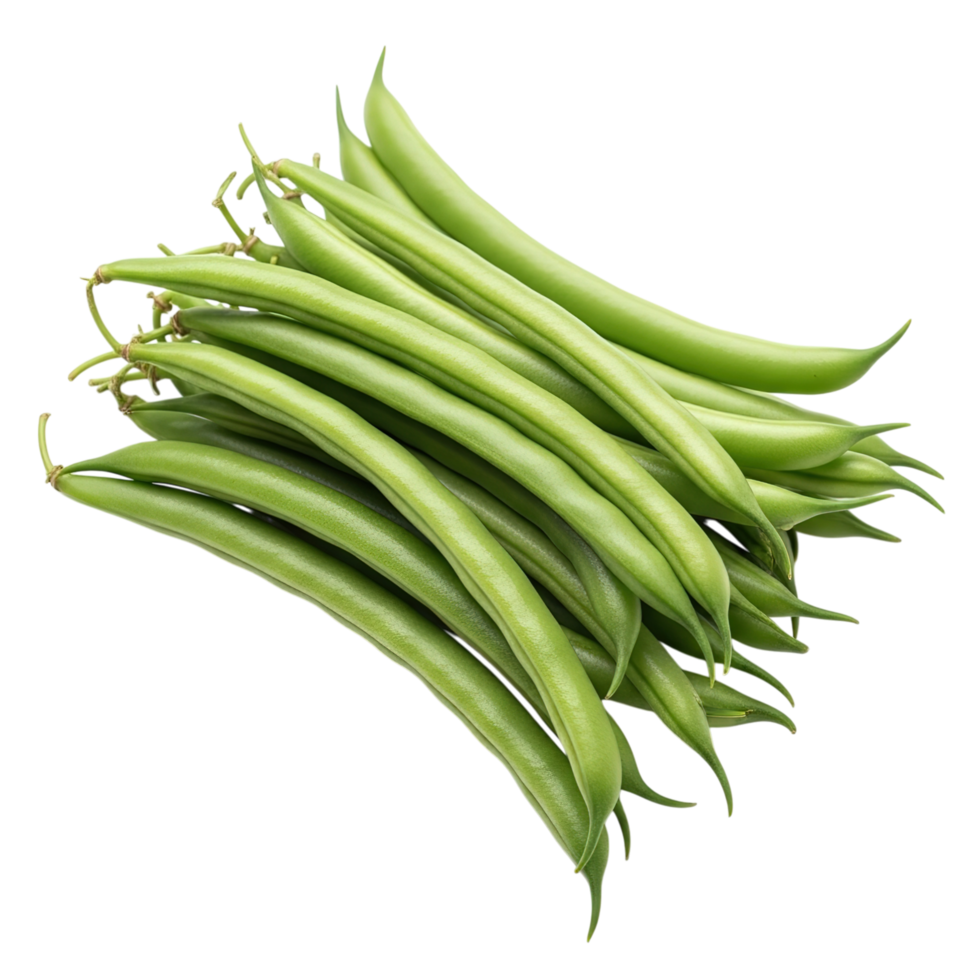 A fresh pile of vibrant green beans showcasing their crisp texture and healthy appeal isolated on transparent background png