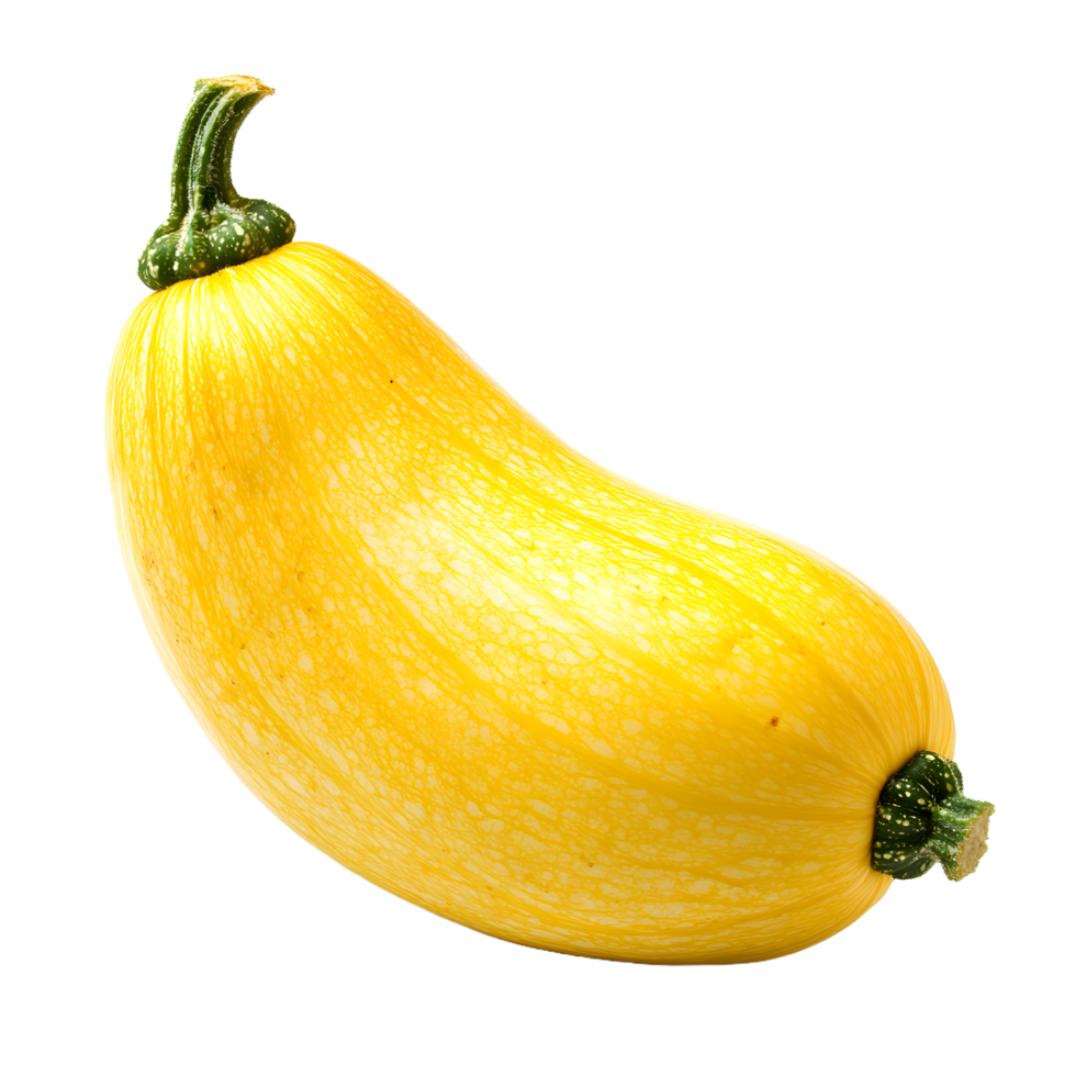 Single yellow zucchini squash with green stem and blossom end isolated on transparent background png