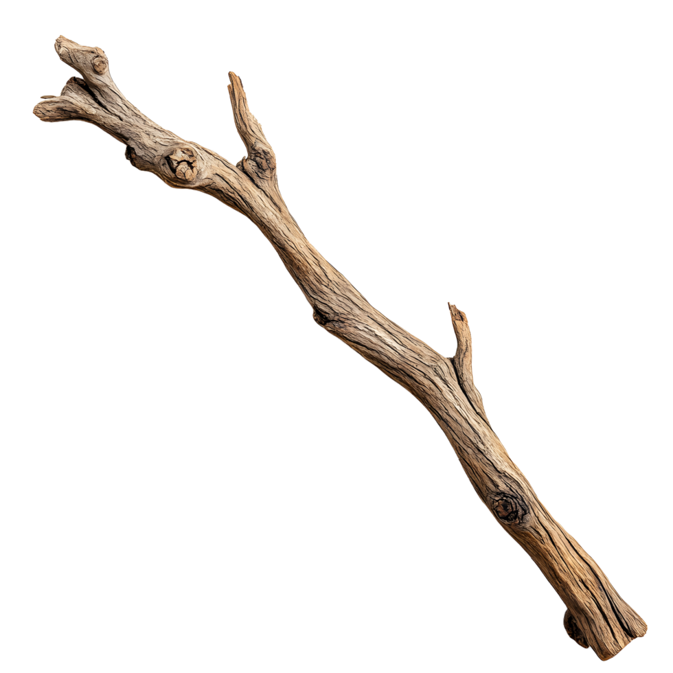 Weathered and textured natural wood branch with knots and cracks isolated on transparent background png