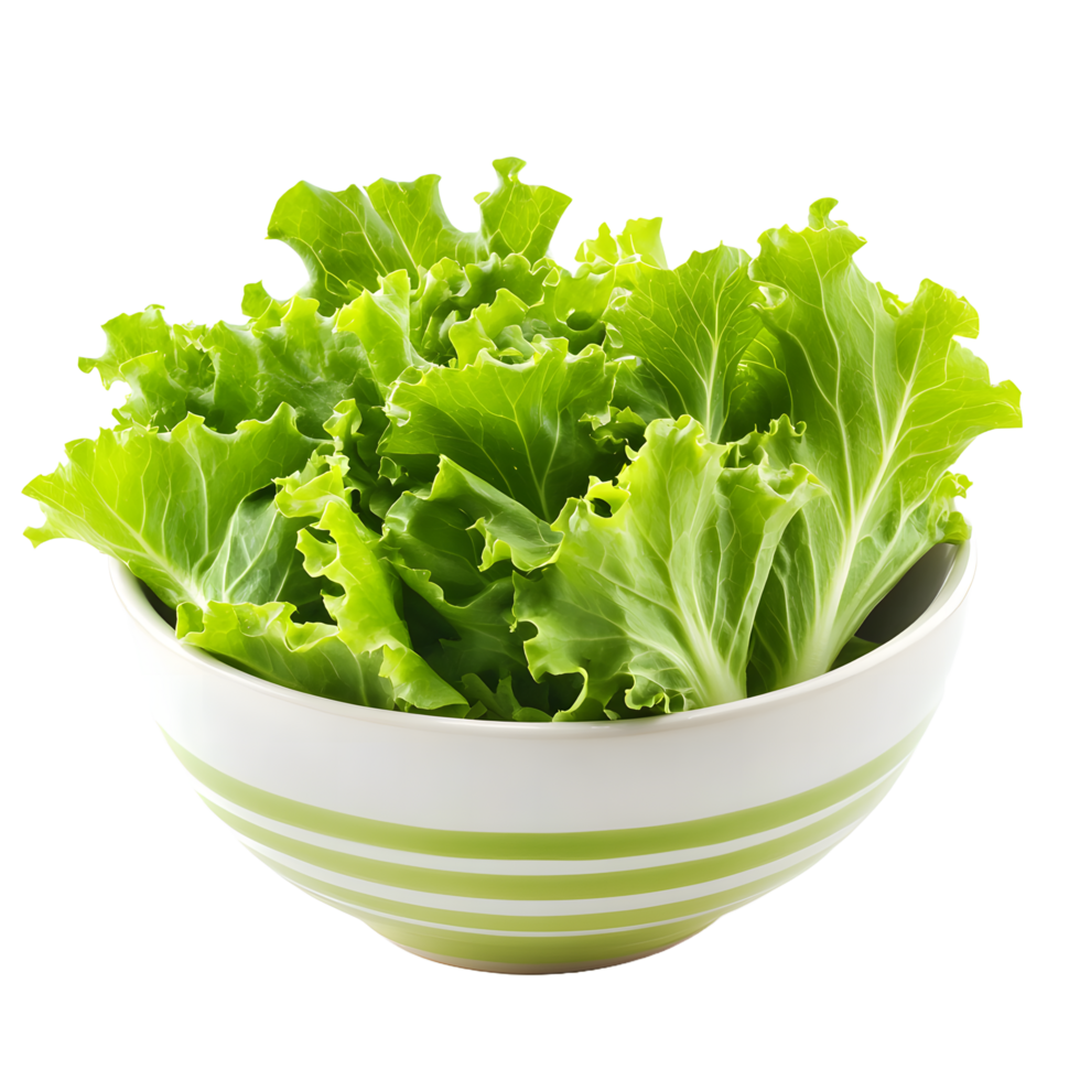 Fresh green lettuce leaves in a striped bowl isolated on transparent background png