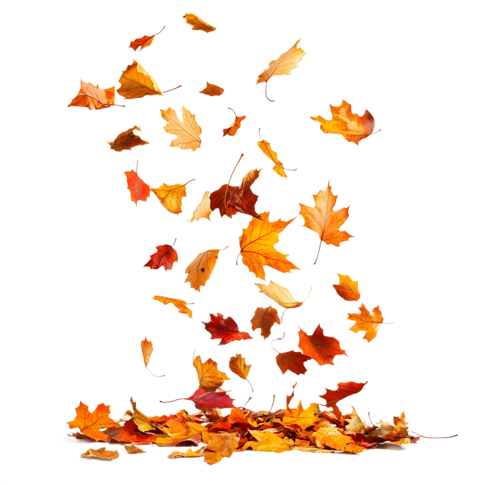 Autumn leaves falling from the sky in a cascade isolated on transparent background png