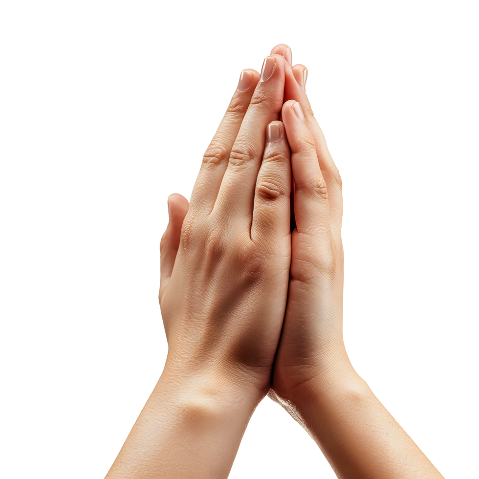 Human hands clasped together in prayer or supplication isolated on transparent background png