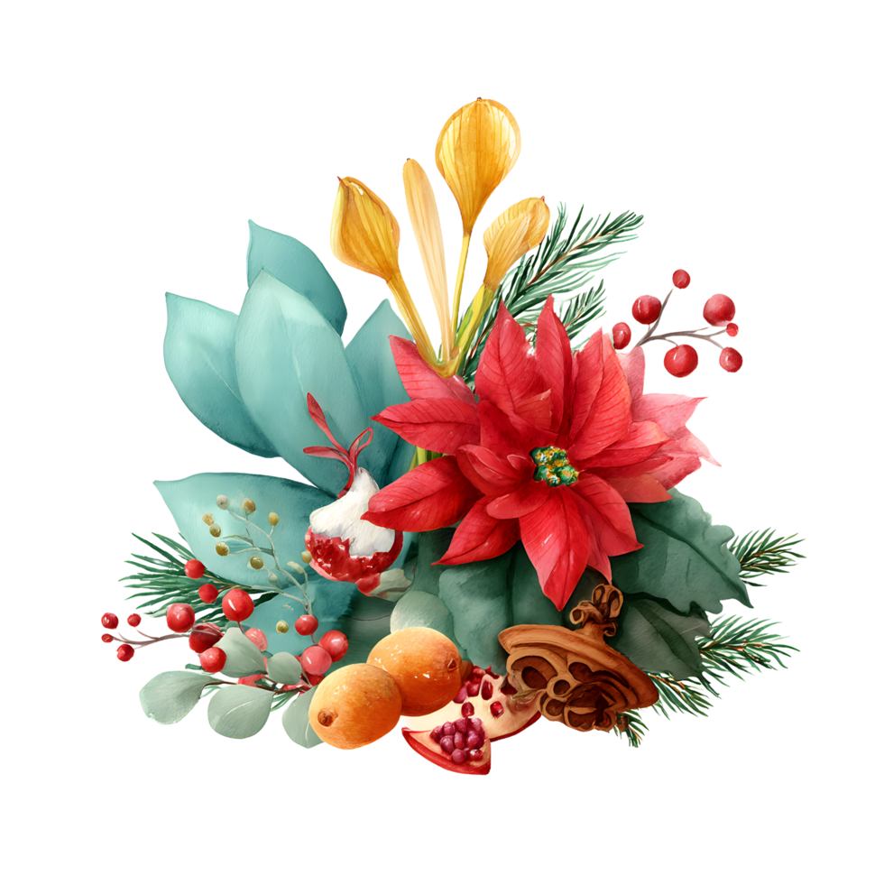 Vibrant winter floral arrangement with poinsettia crocus berries and pomegranate isolated on transparent background png