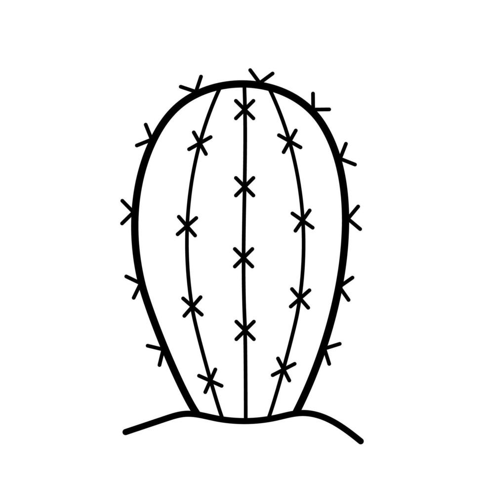 Desert cactus. Exotic prickly plant in sketch doodle style. Hand drawn isolated illustration. vector