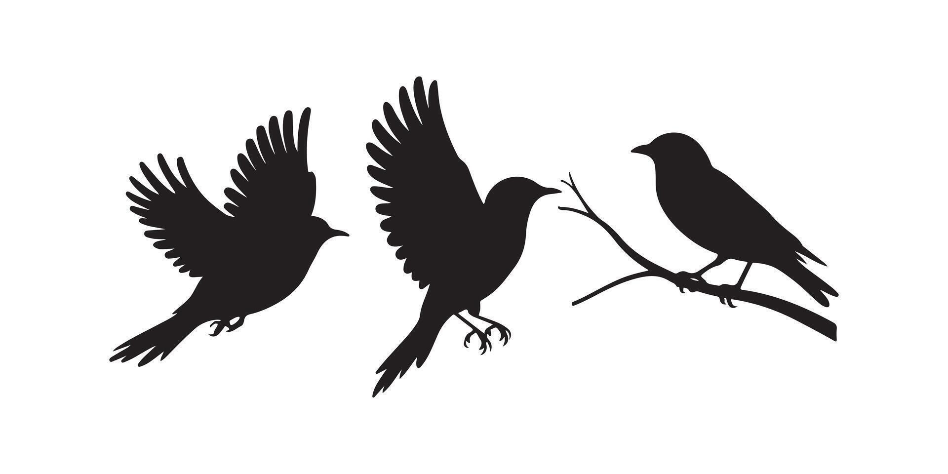 Bird Silhouettes Flying and Perching Together vector