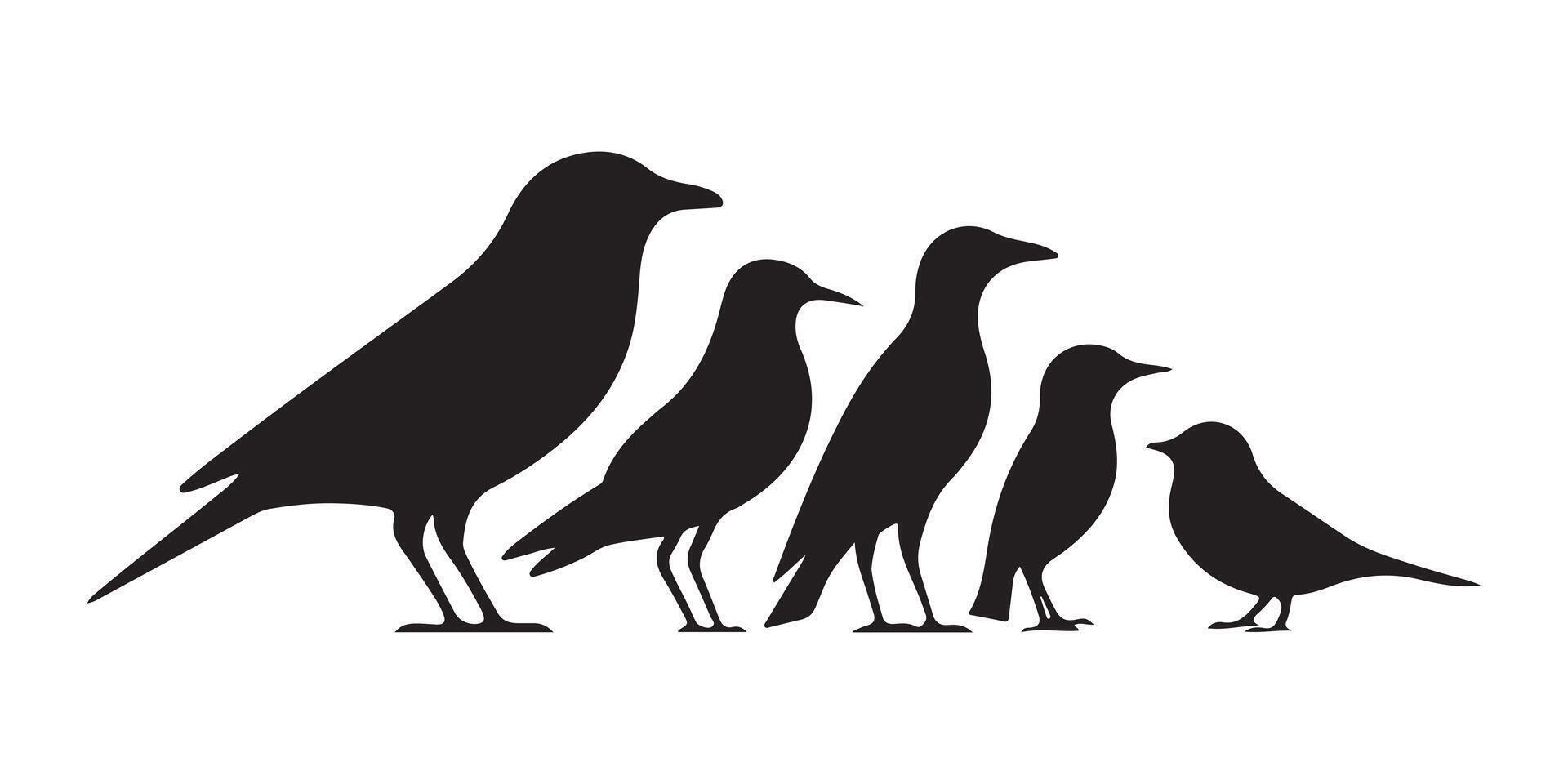 Bird Silhouettes for Wildlife, Freedom, and Nature Concepts vector