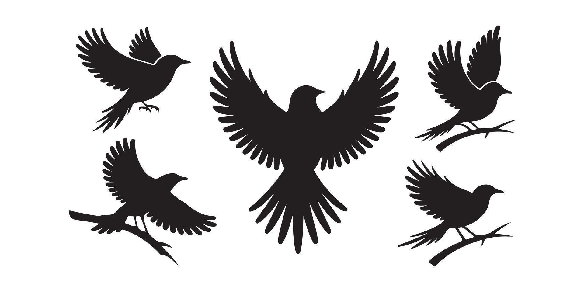 Flying and Resting Bird Silhouettes in Various Poses vector
