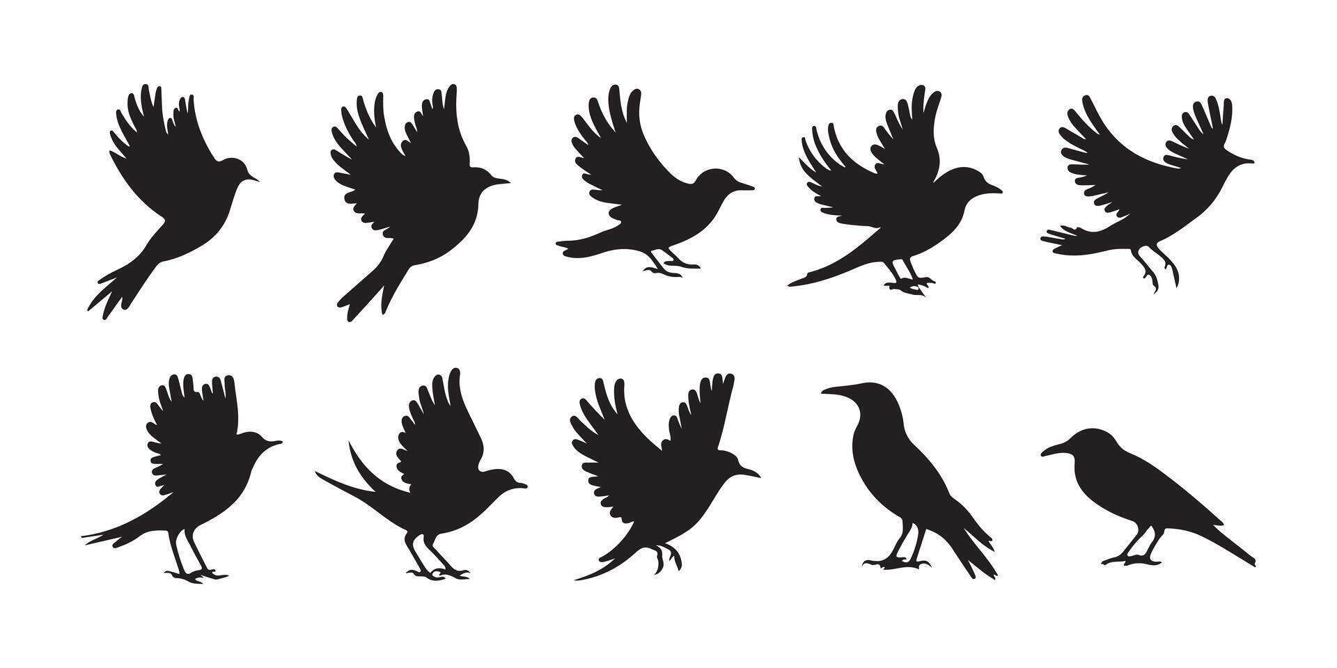Multiple Flying Bird Silhouettes vector