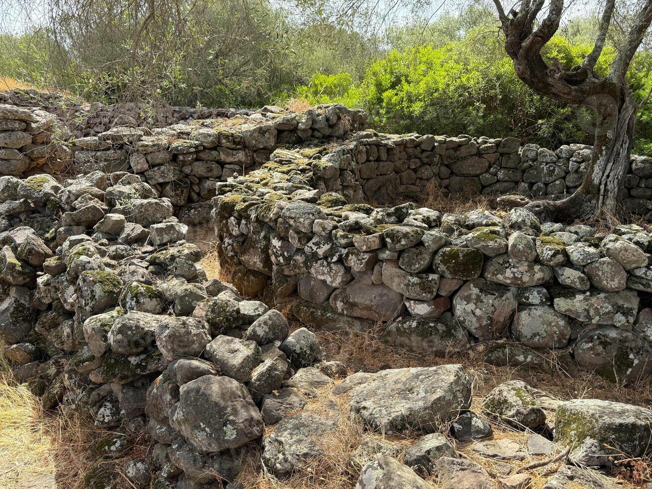Serra Orrios Village Remains from the Bronze Age in Sardinia photo