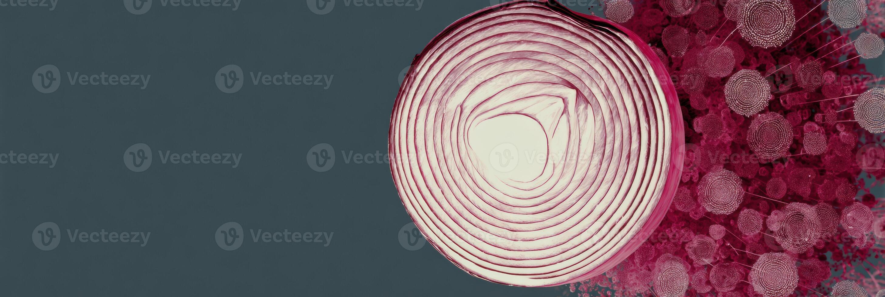 Cross-section of Red Onion Demonstrates Detailed Structure and Layering in Scientific Infographic Style With Focus on Cellular Composition photo