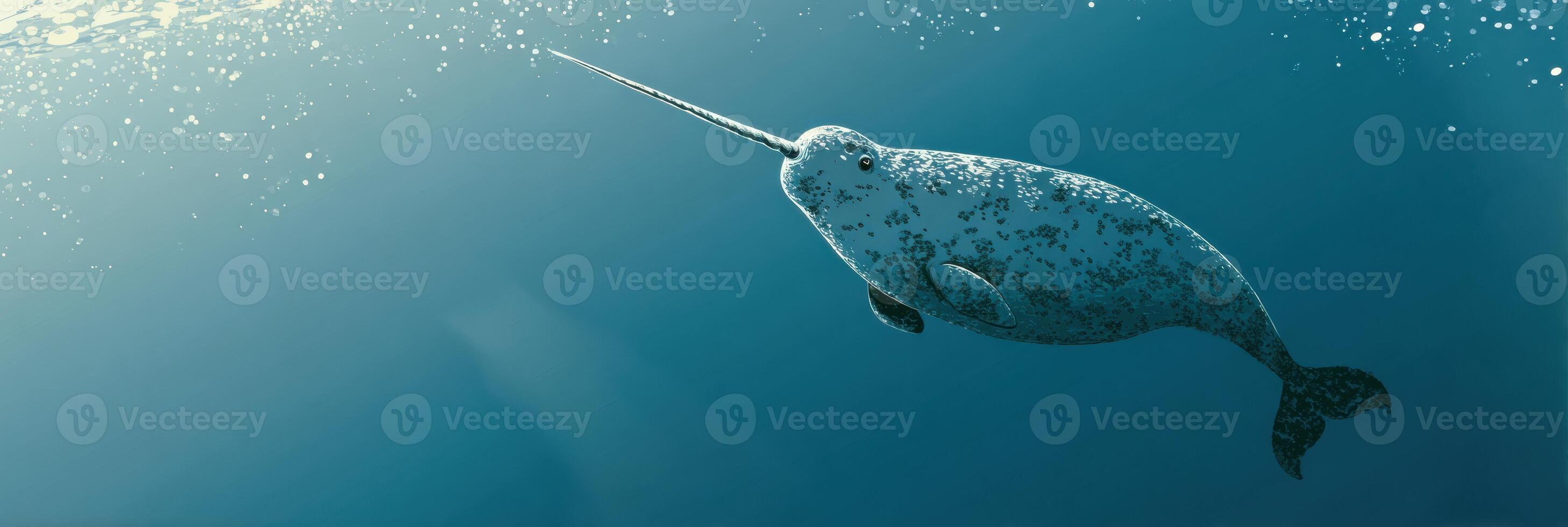 Narwhal Gliding Through Serene Underwater Depths With Tusk Extended, Capturing the Essence of Arctic Marine Life in Its Natural Habitat photo