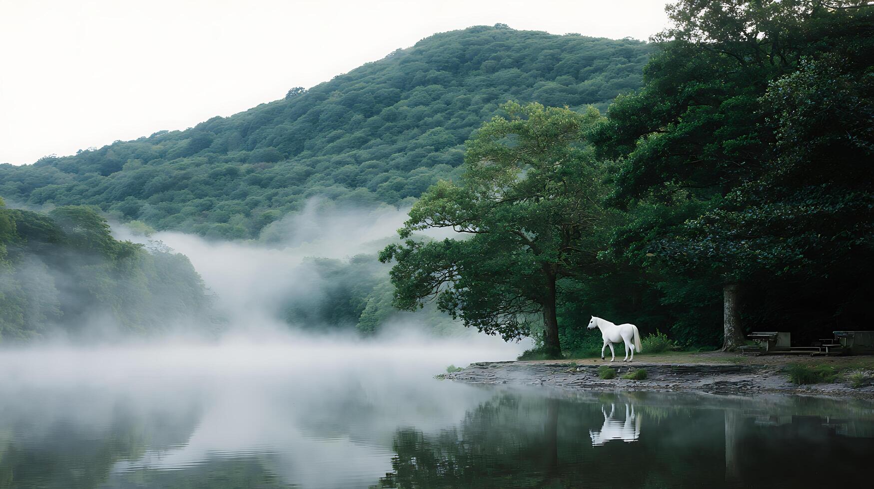 Majestic White Horse Stands Beside Misty Lake in Lush Green Forest. photo