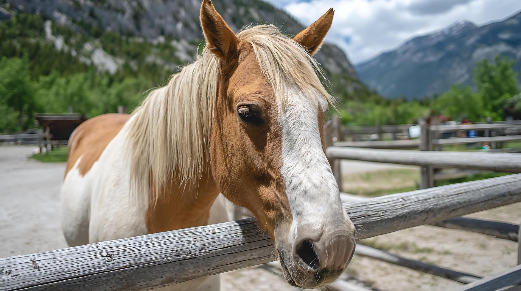 Majestic horse in a peaceful ranch setting with mountains in background. photo