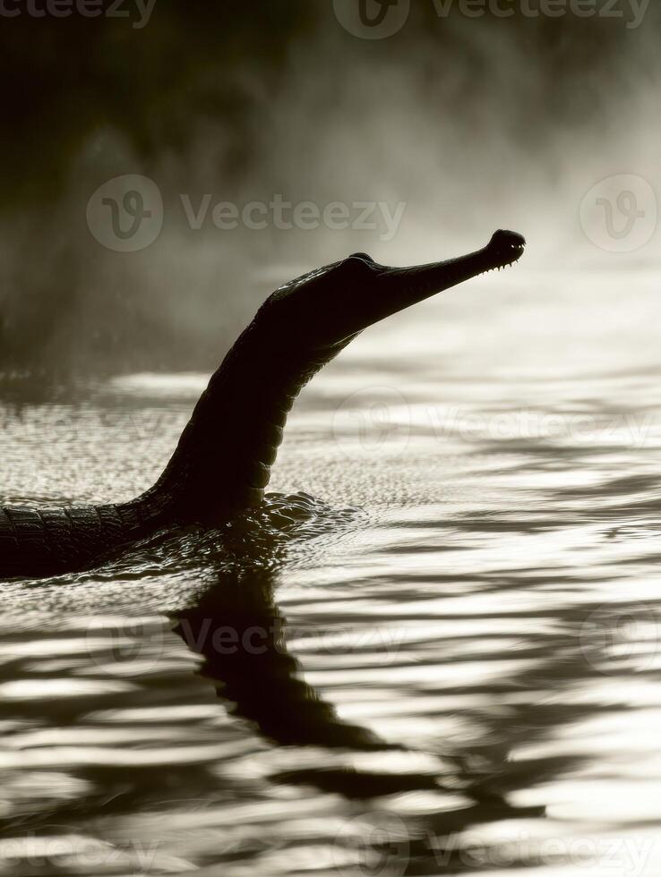 Gharial Emerges From River Waters, Highlighting Its Distinct Sharp Snout in a Misty Environment at Dawn photo