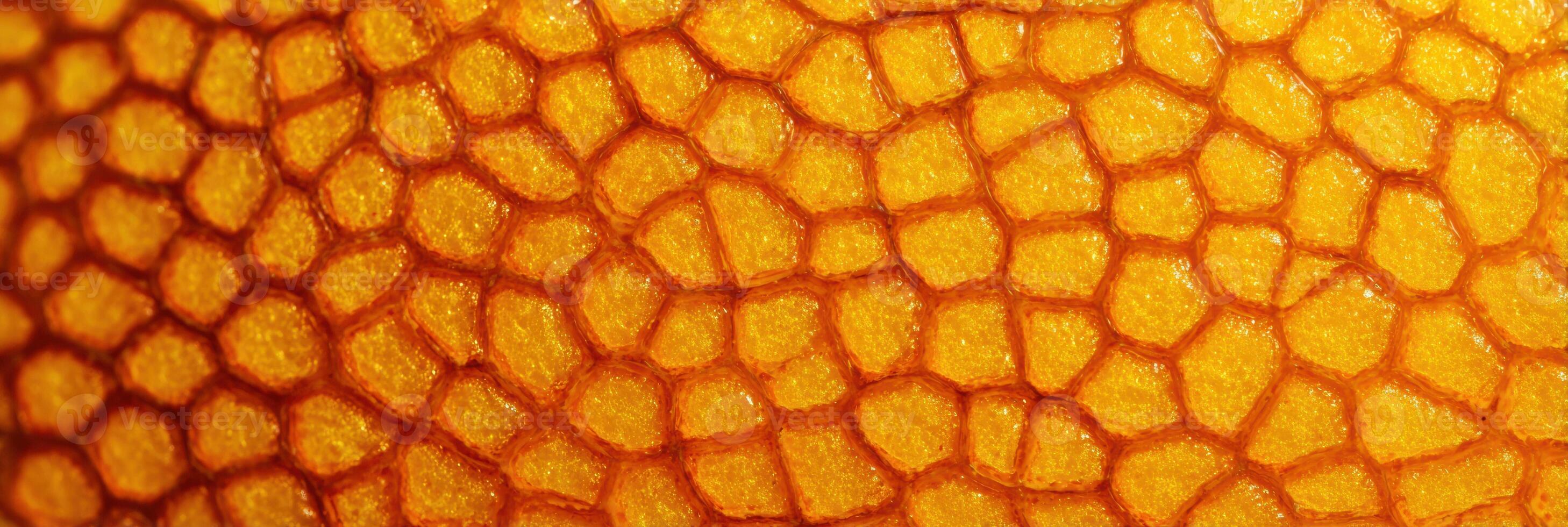 Close-up View of Orange Peel Texture Showcasing Intricate Patterns and Vibrant Colors in Macro photo